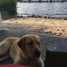 Urlaub-mit-Hund: Fleesensee Resort & Spa