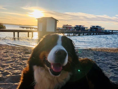 Hundehotel - Plau am See - Fleesensee Resort & Spa