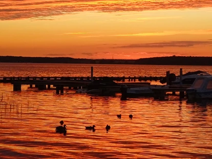 Hundehotel - Plau am See - Traumhafter Sonnenuntergang  - Fleesensee Resort & Spa