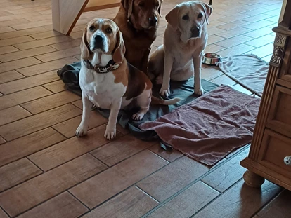 Hundehotel - Plau am See - Tolles Apartment  - Fleesensee Resort & Spa