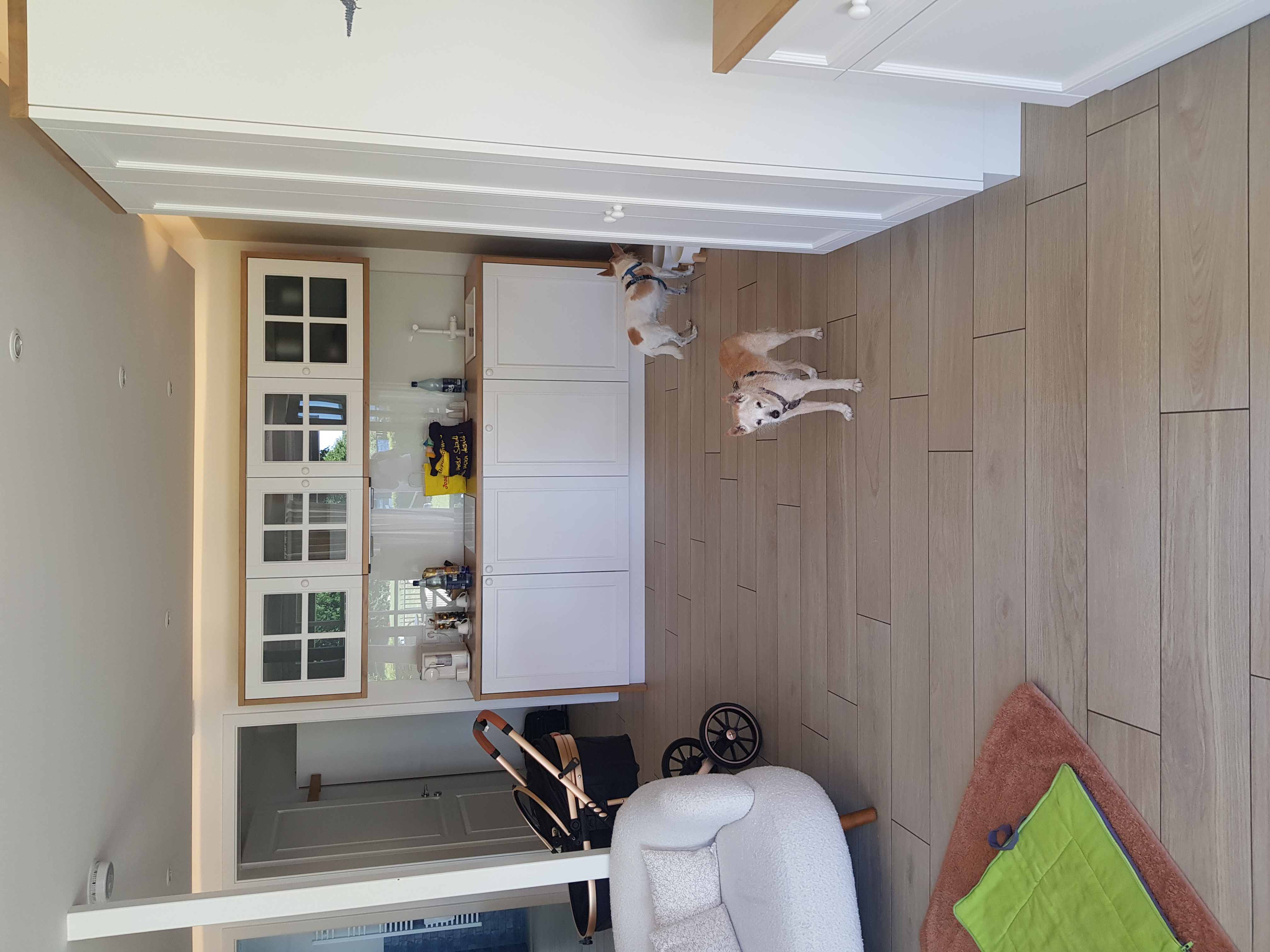 Urlaub-mit-Hund: Unsere beiden Hunde erkunden den Wohnbereich. - Fleesensee Resort & Spa