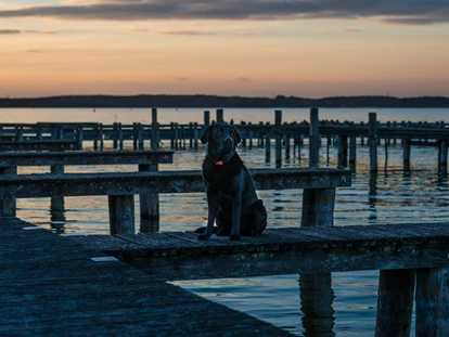 Hundehotel - Plau am See - Fleesensee Resort & Spa