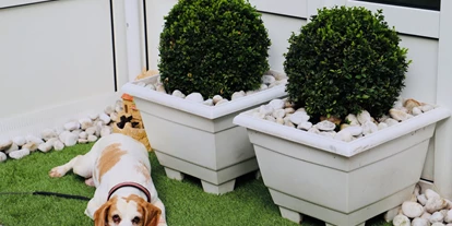 Hundehotel - Trink-/Fressnapf: im Zimmer - Hessen - Hotel Aurelia