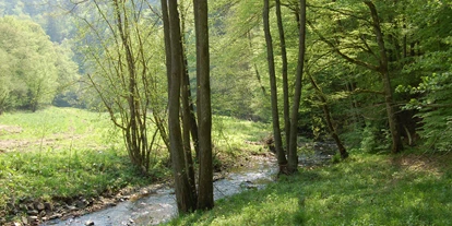 Hundehotel - Unterkunftsart: Hotel - Eifel - Dreisbachtal - Landgasthaus Pfahl