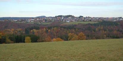 Hundehotel - Unterkunftsart: Hotel - Eifel - Wershofen von Süden - Landgasthaus Pfahl