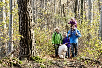 Urlaub-mit-Hund: Vier Jahreszeiten am Schluchsee - der Wald in unmittelbarer Nähe - Vier Jahreszeiten am Schluchsee