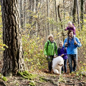 Urlaub-mit-Hund: Vier Jahreszeiten am Schluchsee - der Wald in unmittelbarer Nähe - Vier Jahreszeiten am Schluchsee