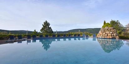 Hundehotel - Verpflegung: Halbpension - Baden-Württemberg - Vier Jahreszeiten am Schluchsee - Außenpool im Sommer - Vier Jahreszeiten am Schluchsee