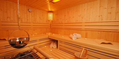 Hundehotel - Doggies: 3 Doggies - Bastorf - Eine der Saunen: Licht-Ton-Aroma-Sauna - HofHotel Krähenberg