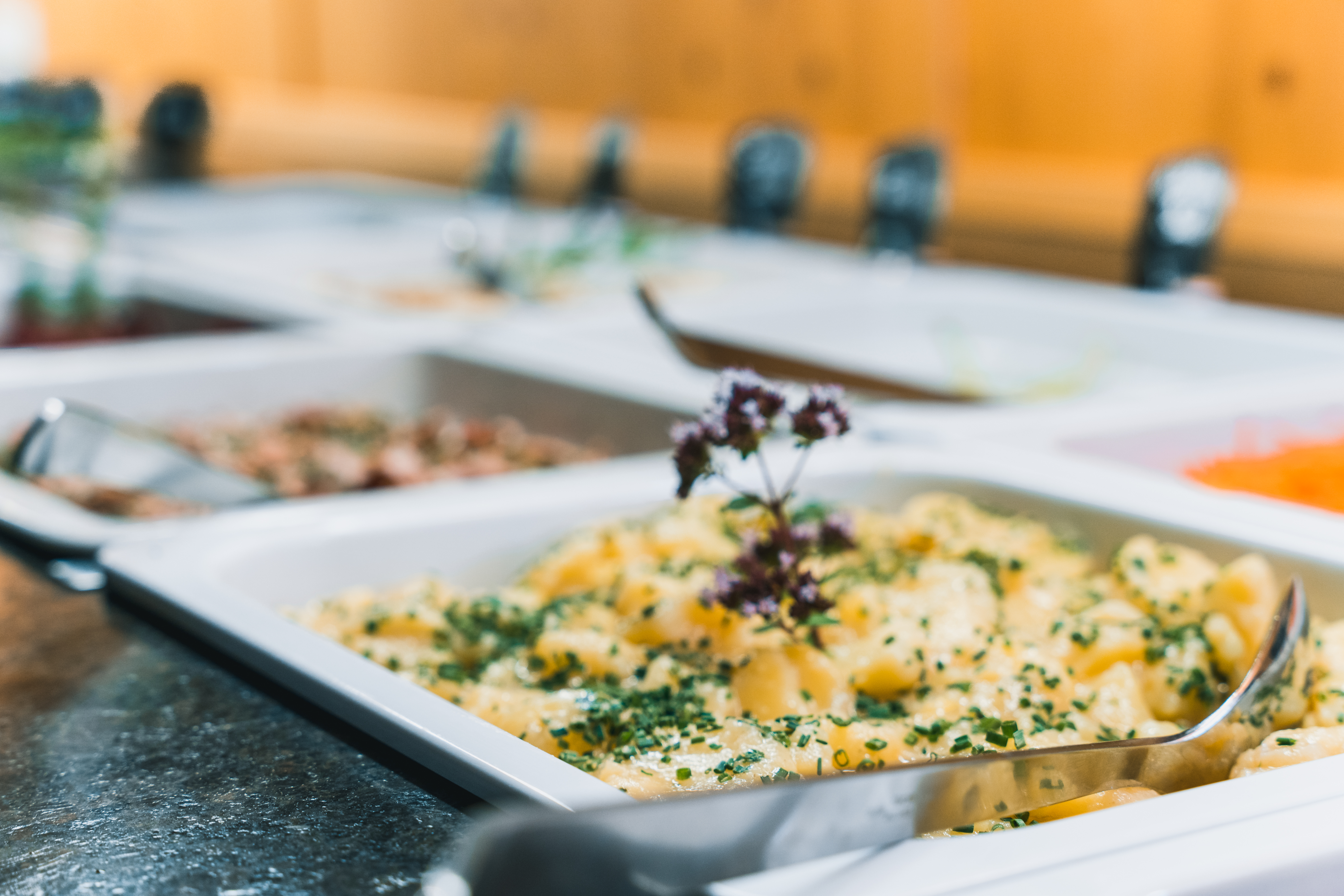 Urlaub-mit-Hund: Felbermayer Hotel & Alpin Spa Montafon****