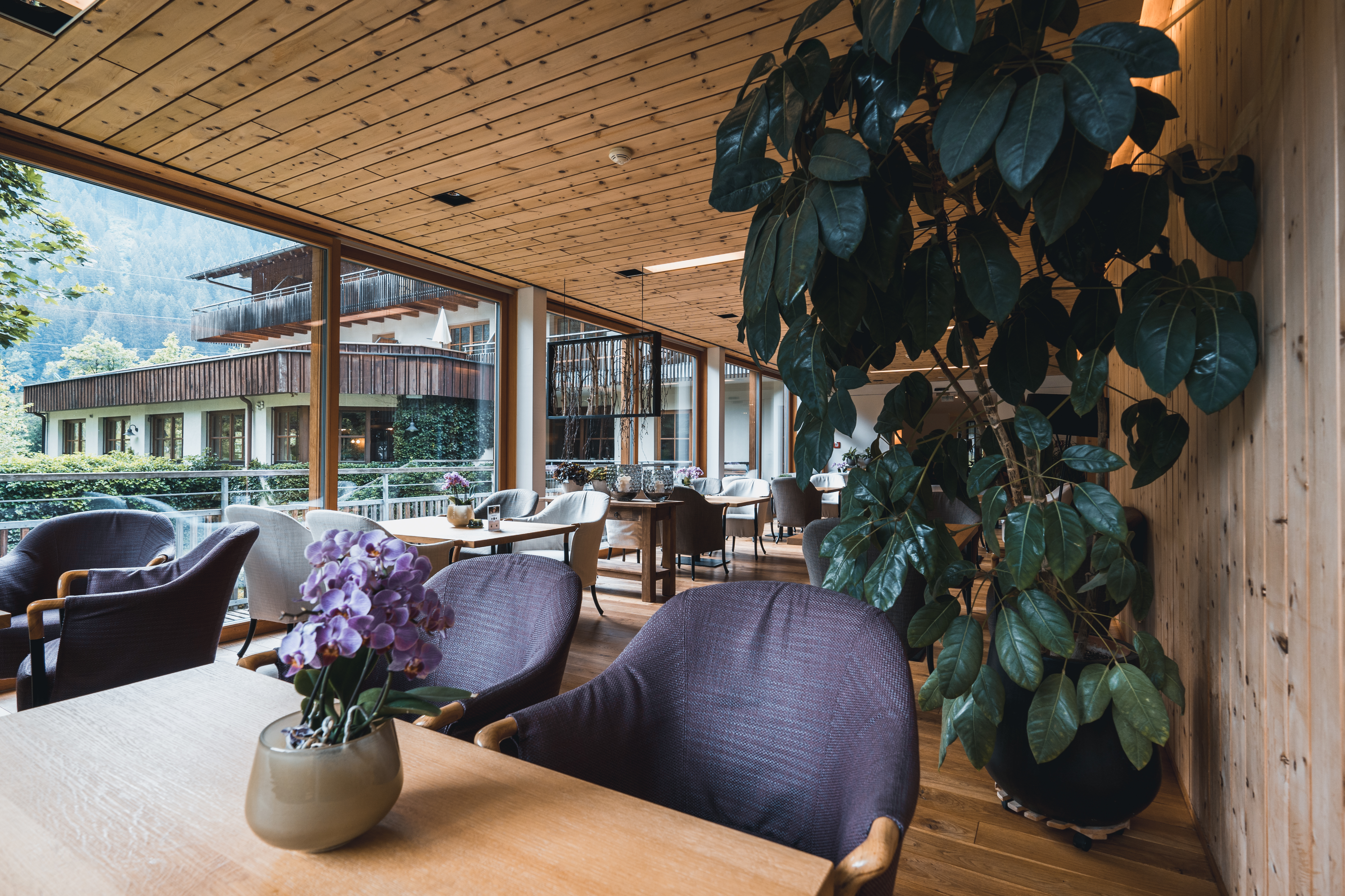 Urlaub-mit-Hund: Felbermayer Hotel & Alpin Spa Montafon****