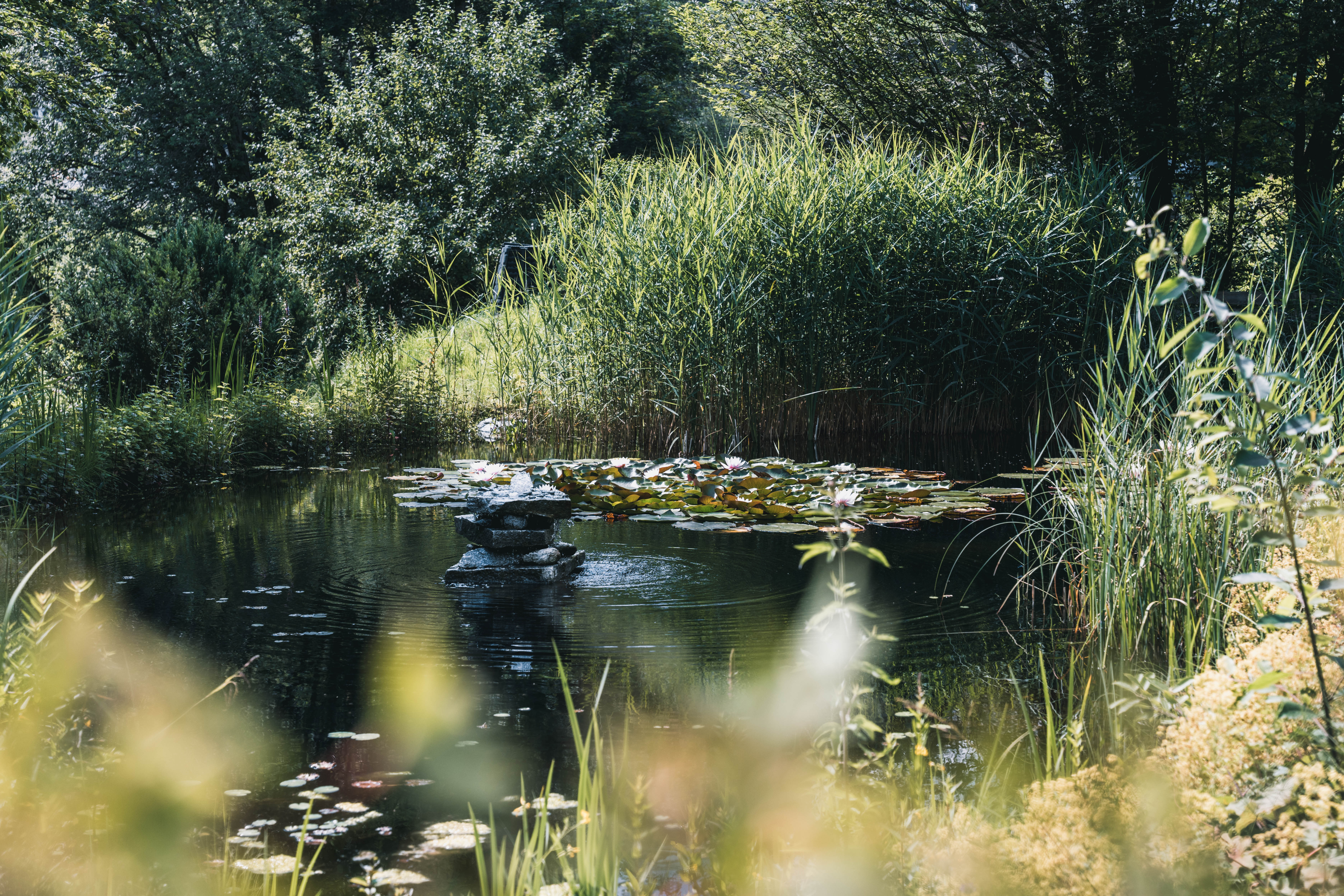 Urlaub-mit-Hund: Felbermayer Hotel & Alpin Spa Montafon****