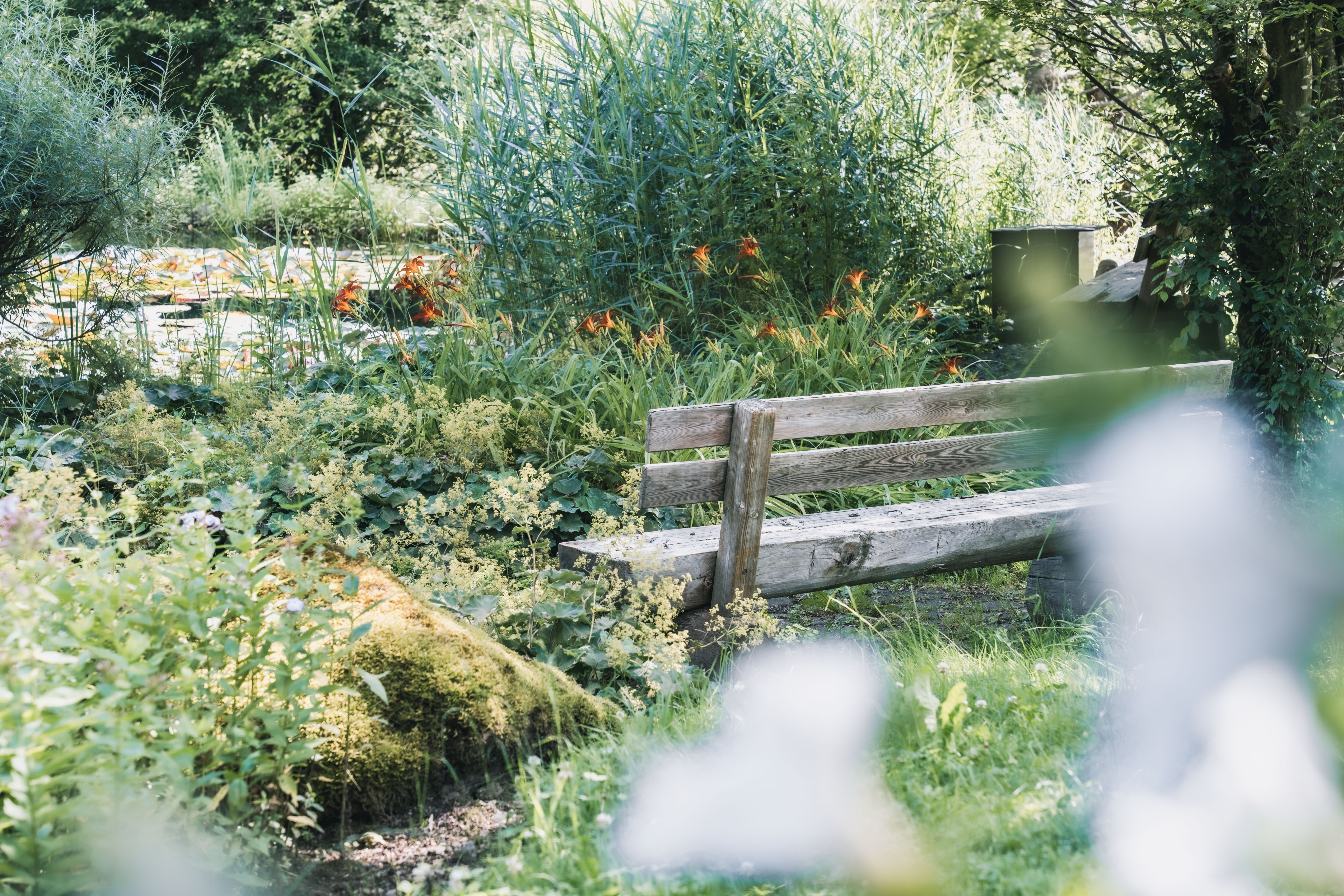 Urlaub-mit-Hund: Felbermayer Hotel & Alpin Spa Montafon****