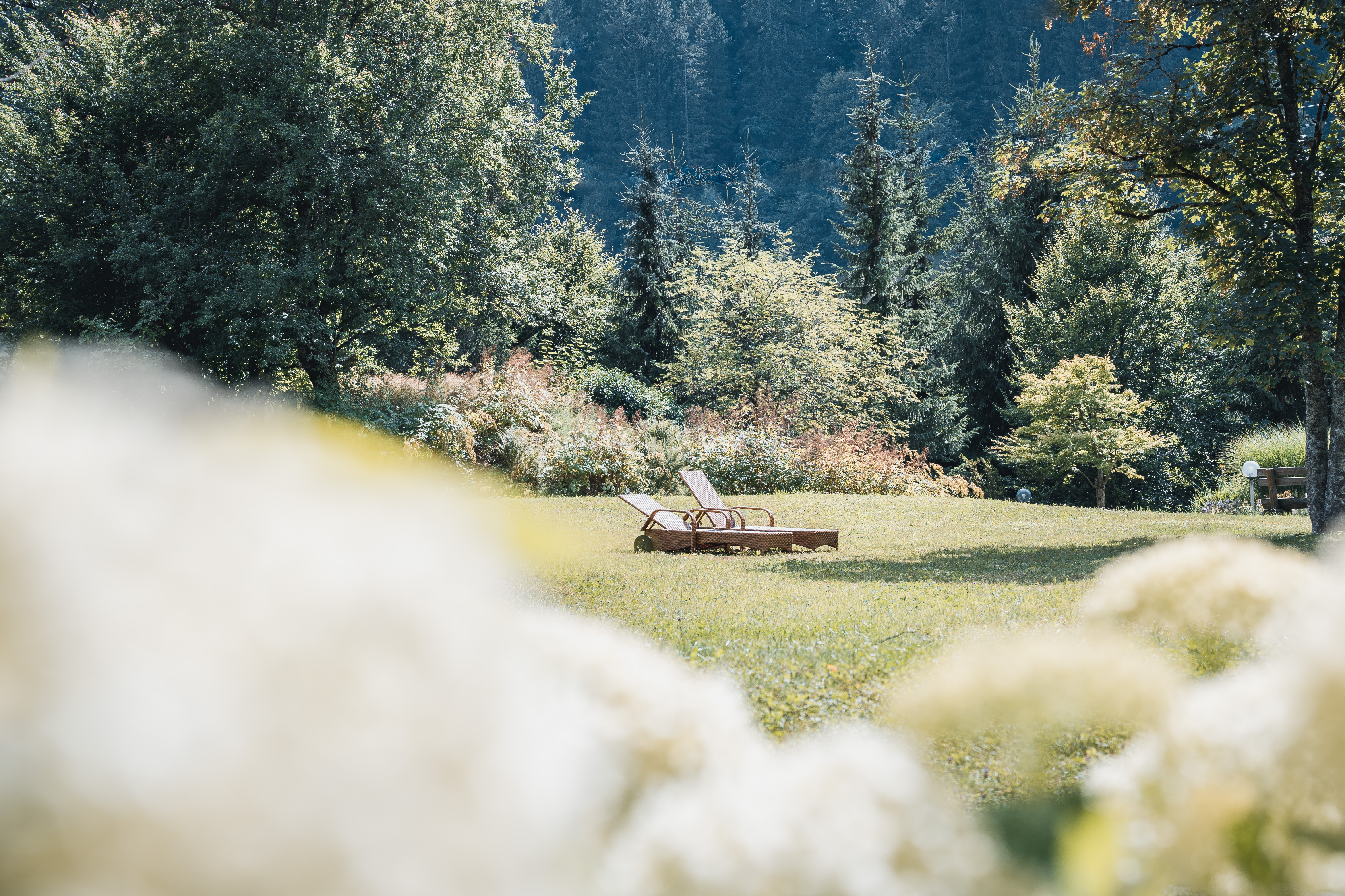 Urlaub-mit-Hund: Felbermayer Hotel & Alpin Spa Montafon****