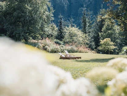 Hundehotel - Doggies: 3 Doggies - Felbermayer Hotel & Alpin Spa Montafon****