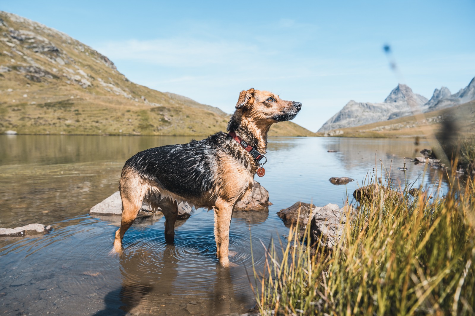 Urlaub-mit-Hund: Felbermayer Hotel & Alpin Spa Montafon****