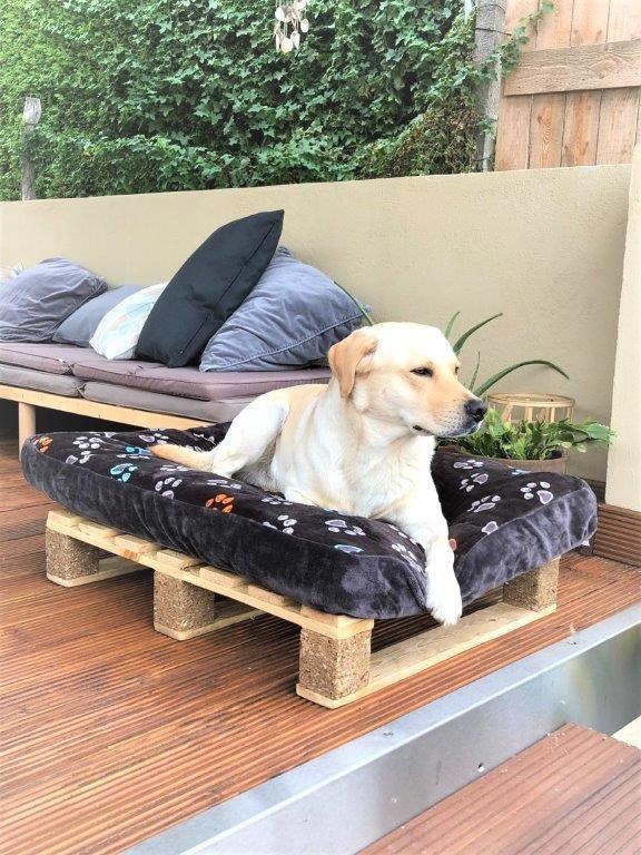 Ferienhaus mit Hund: Maifelder Wellness-Loft