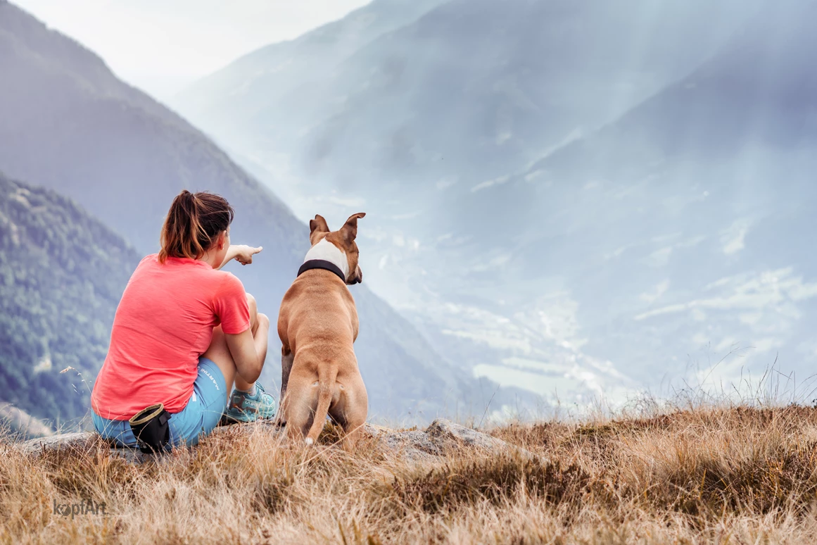 Urlaub-mit-Hund: Wanderungen mit Hund - Wiesenhof Garden Resort  - Haus | Umgebung, Urlaub mit Hund