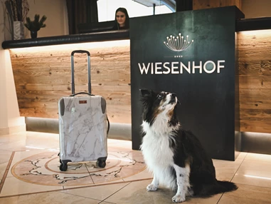 Urlaub-mit-Hund: Wiesenhof Garden Resort  - Haus | Umgebung, Urlaub mit Hund