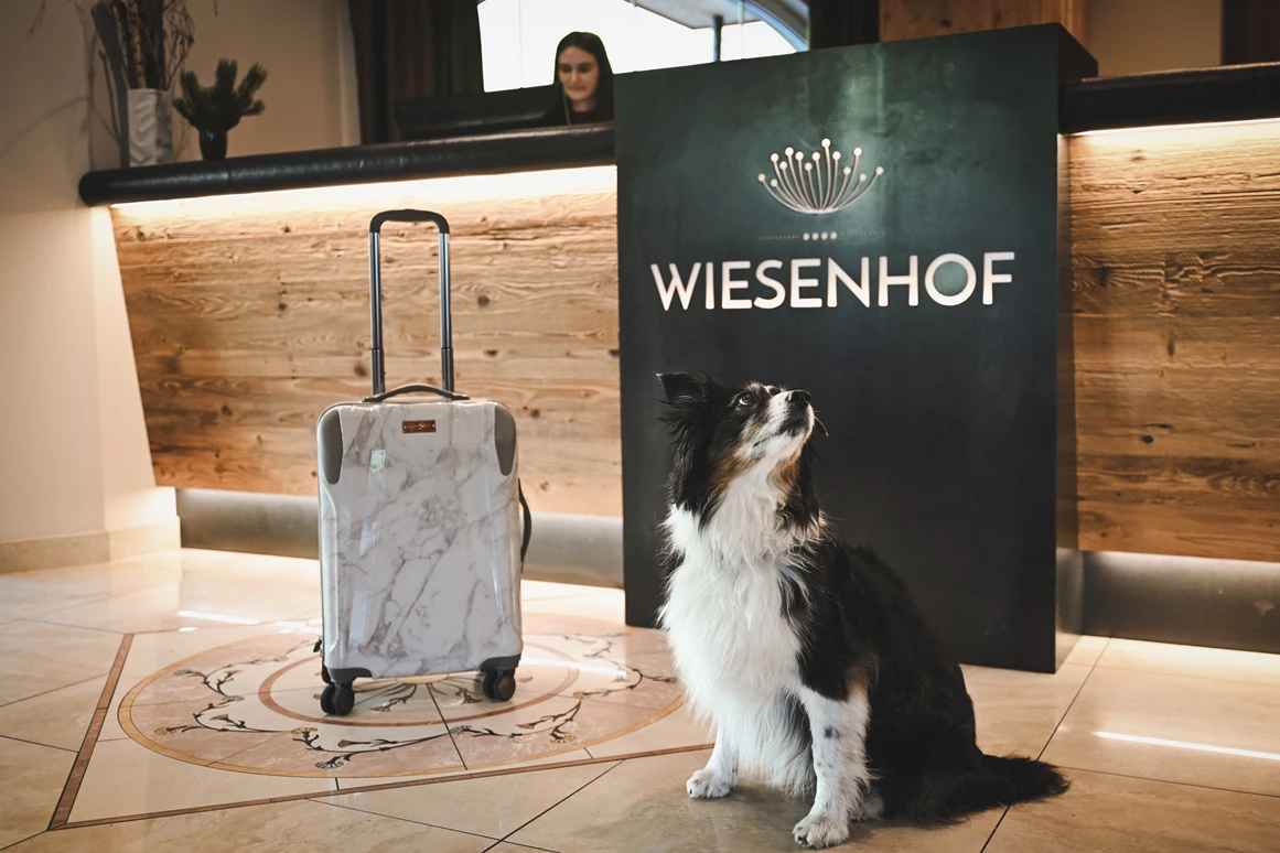 Urlaub-mit-Hund: Wiesenhof Garden Resort  - Haus | Umgebung, Urlaub mit Hund