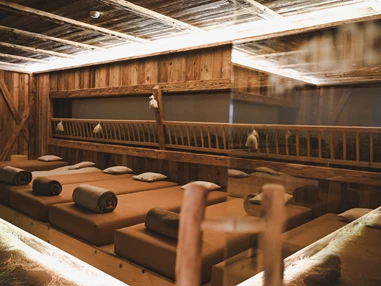 Urlaub-mit-Hund: Wiesenhof Garden Resort  - Wasser | Wellness