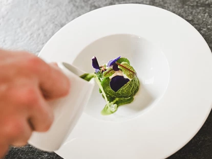 Hundehotel - Pools: Schwimmteich - Wiesenhof Garden Resort
