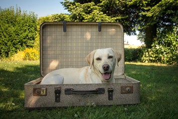 Urlaub-mit-Hund: Hunde sind Herzlich Willkommen - Hotel Donauschlinge Riverresort