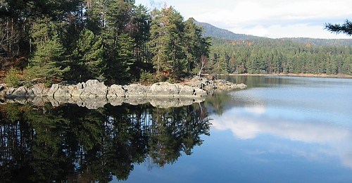 nawu apartments & Restaurant Ausflüge mit Hund Forstsee