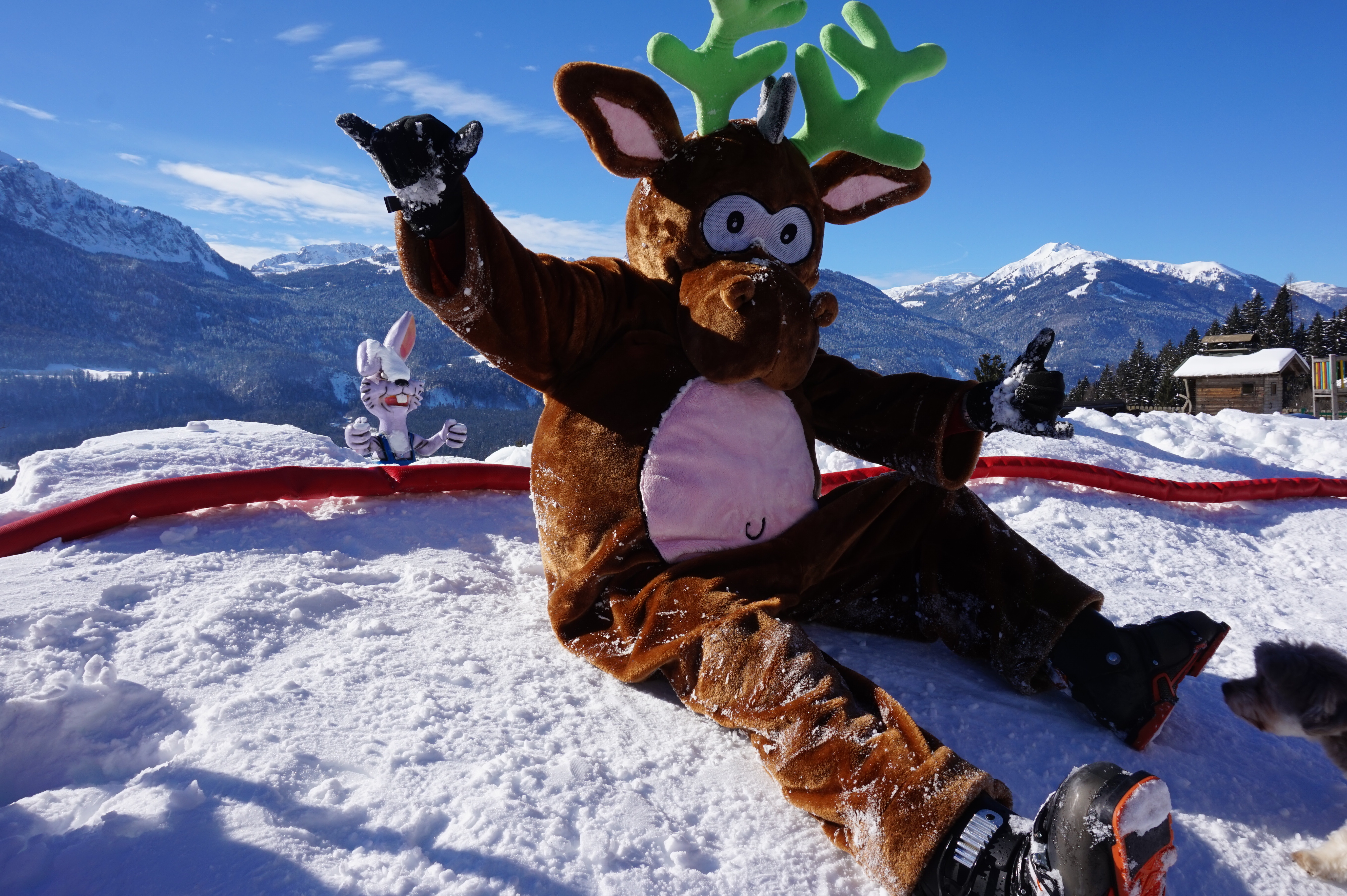 Urlaub-mit-Hund: nawu_apartments_Winterurlaub_Skifahren_Skiurlaub_Nassfeld - nawu apartments & Restaurant