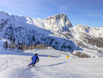 Hundehotel - Doggies: 3 Doggies - nawu_apartments_Skifahren_Nassfeld_Winterurlaub - nawu apartments & Restaurant