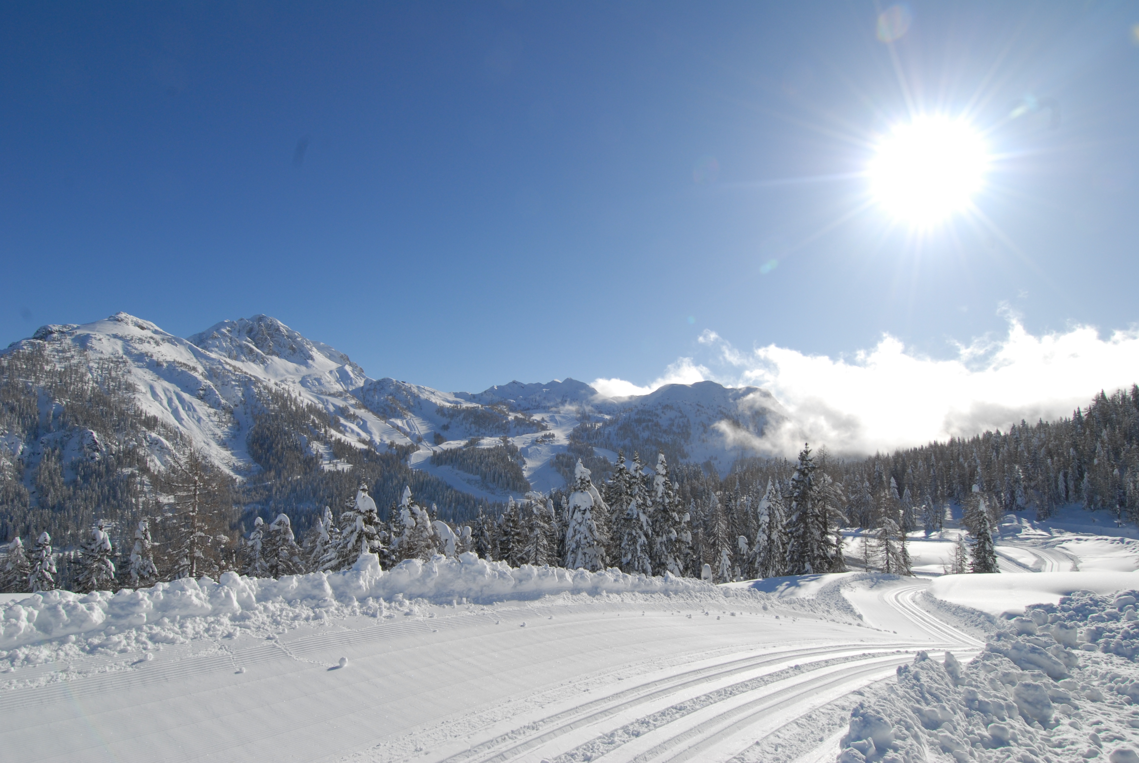 Urlaub-mit-Hund: nawu_apartments_Langlaufen_Nassfeld_Hermagor_Winterurlaub - nawu apartments & Restaurant