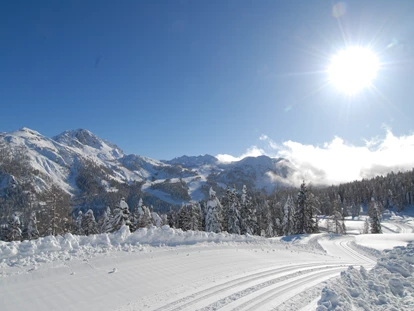 Hundehotel - Doggies: 3 Doggies - nawu_apartments_Langlaufen_Nassfeld_Hermagor_Winterurlaub - nawu apartments & Restaurant