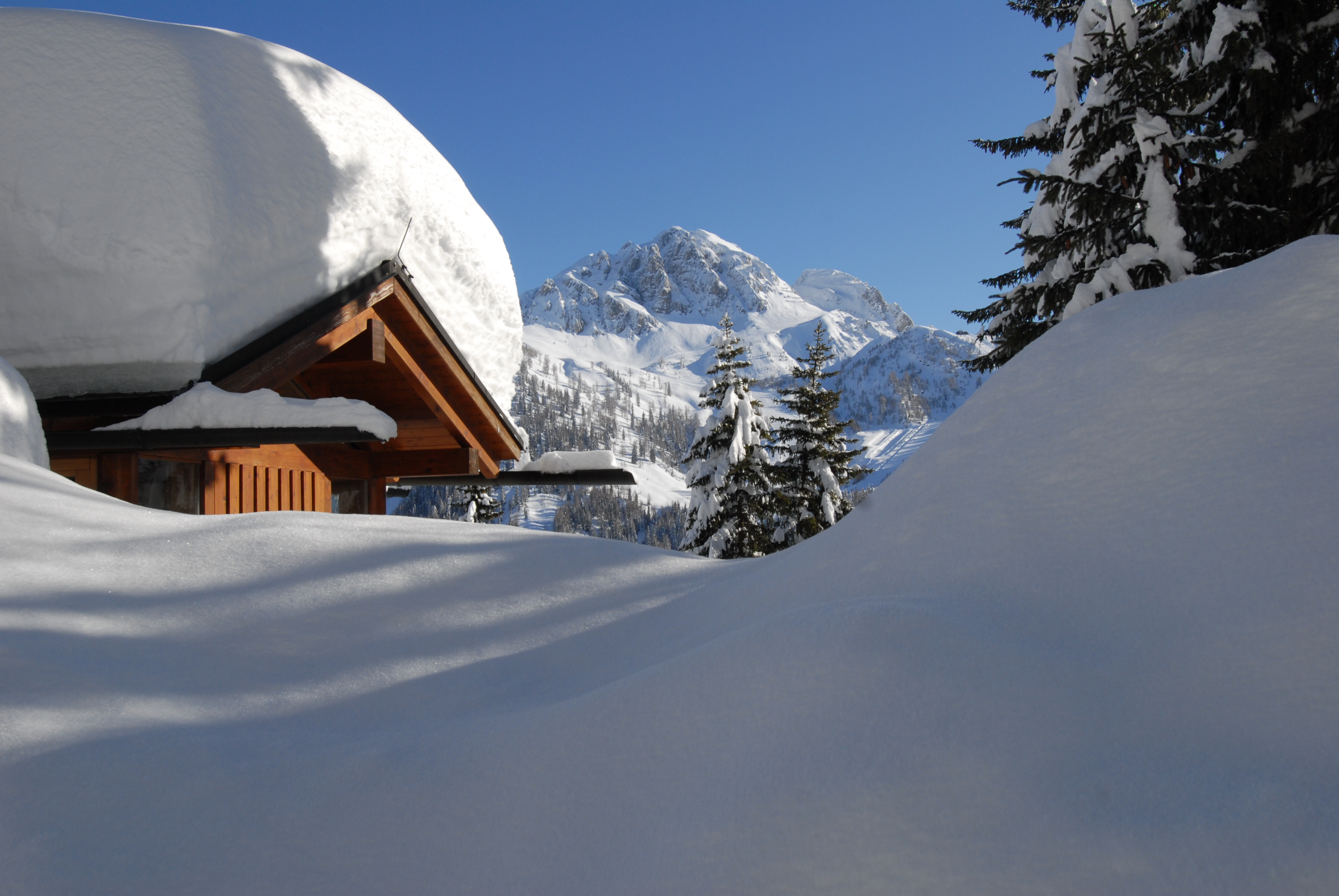 Urlaub-mit-Hund: nawu_apartments_Winter_Skitouren_Winterurlaub_Wintersport - nawu apartments & Restaurant