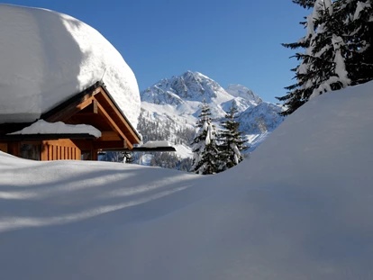 Hundehotel - Doggies: 3 Doggies - nawu_apartments_Winter_Skitouren_Winterurlaub_Wintersport - nawu apartments & Restaurant