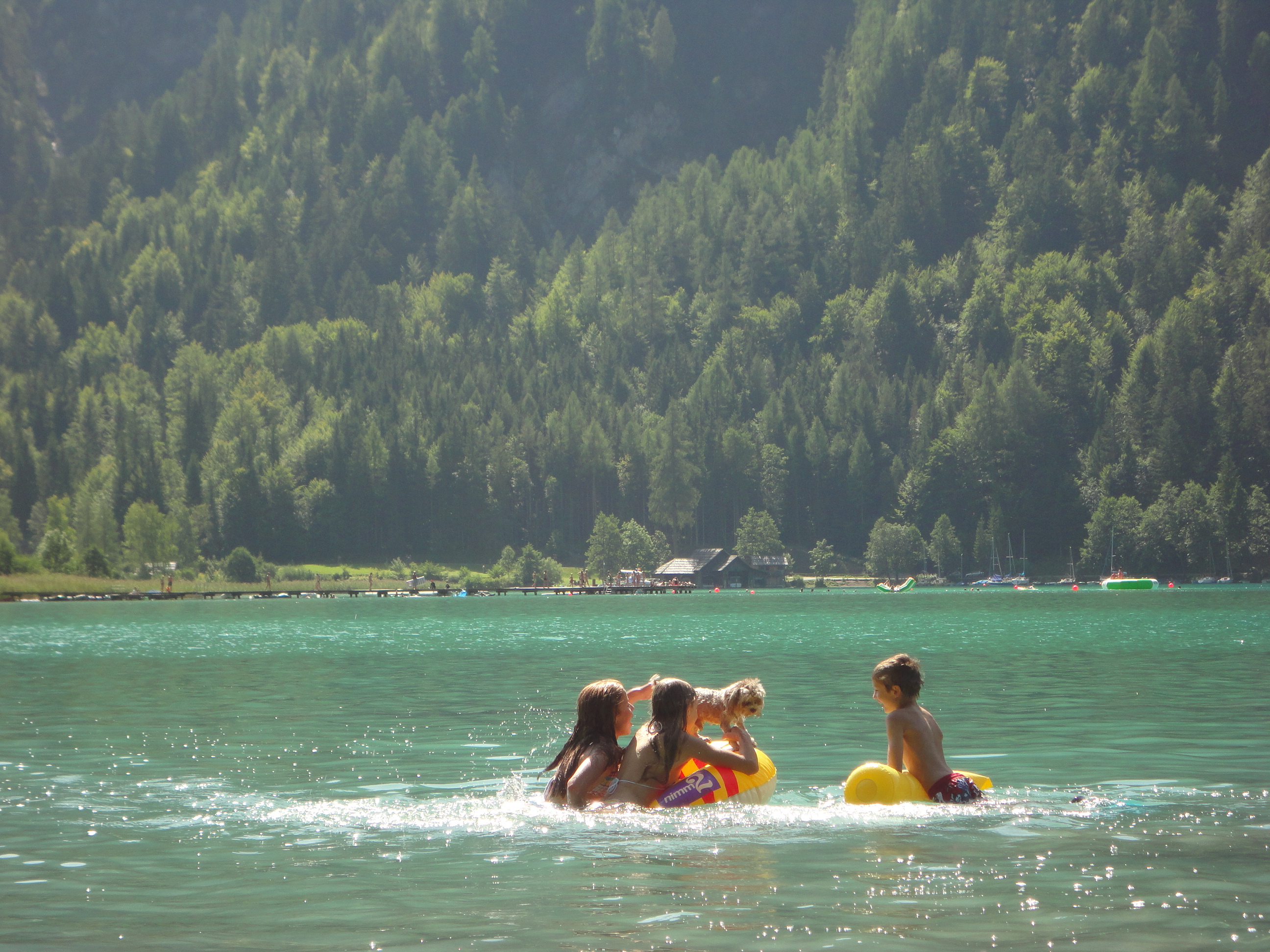 Urlaub-mit-Hund: Hundehotel_nawu_apartments_Familienurlaub_Nassfeld_Presseggersee_Weissensee - nawu apartments & Restaurant