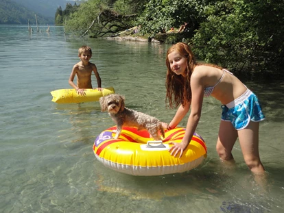 Hundehotel - Doggies: 3 Doggies - Hundehotel_nawu_apartments_Sommer_Familienurlaub_Weissensee_Presseggersee - nawu apartments & Restaurant