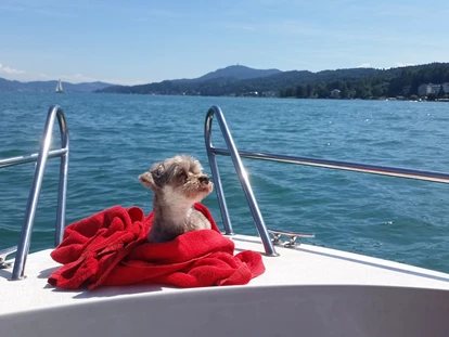 Hundehotel - Doggies: 3 Doggies - Hundehotel_nawu_apartments_Familienurlaub_Wörthersee_Ausflug_Bootfahren - nawu apartments & Restaurant