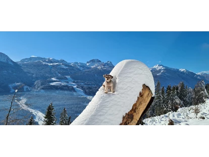 Hundehotel - Doggies: 3 Doggies - Hundehotel_nawu_apartments_Winterurlaub_Nassfeld_Presseggersee - nawu apartments & Restaurant