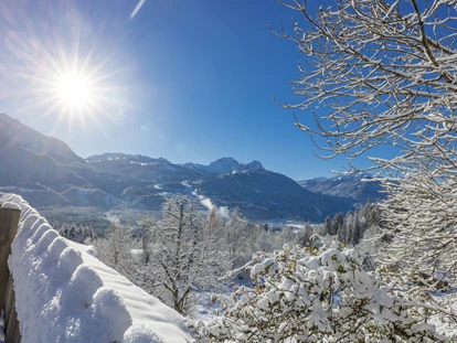 Hundehotel - Doggies: 3 Doggies - nawu_apartments_Hundehotel_Aussicht_Winter_Nassfeld - nawu apartments & Restaurant