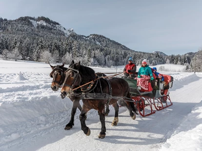 Hundehotel - Doggies: 3 Doggies - nawu_apartments_Schlittenfahrt_Weissensee - nawu apartments & Restaurant