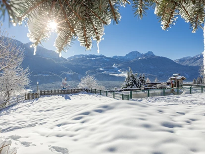 Hundehotel - Doggies: 3 Doggies - nawu_apartments_Hundehotel_Aussicht_Winter_Nassfeld - nawu apartments & Restaurant