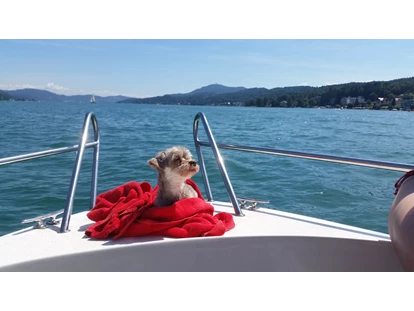 Hundehotel - Doggies: 3 Doggies - nawu_apartments_Hundehotel_Urlaub_Ausflug_Bootsfahrt_Wörthersee - nawu apartments & Restaurant