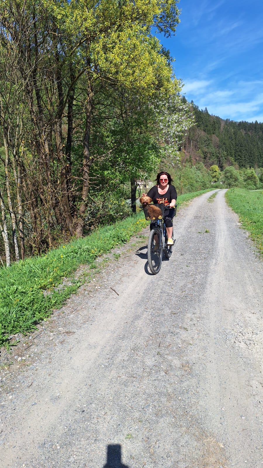 Urlaub-mit-Hund: nawu_apartments_Hundehotel_Radfahren_Gailtal_Radweg - nawu apartments & Restaurant