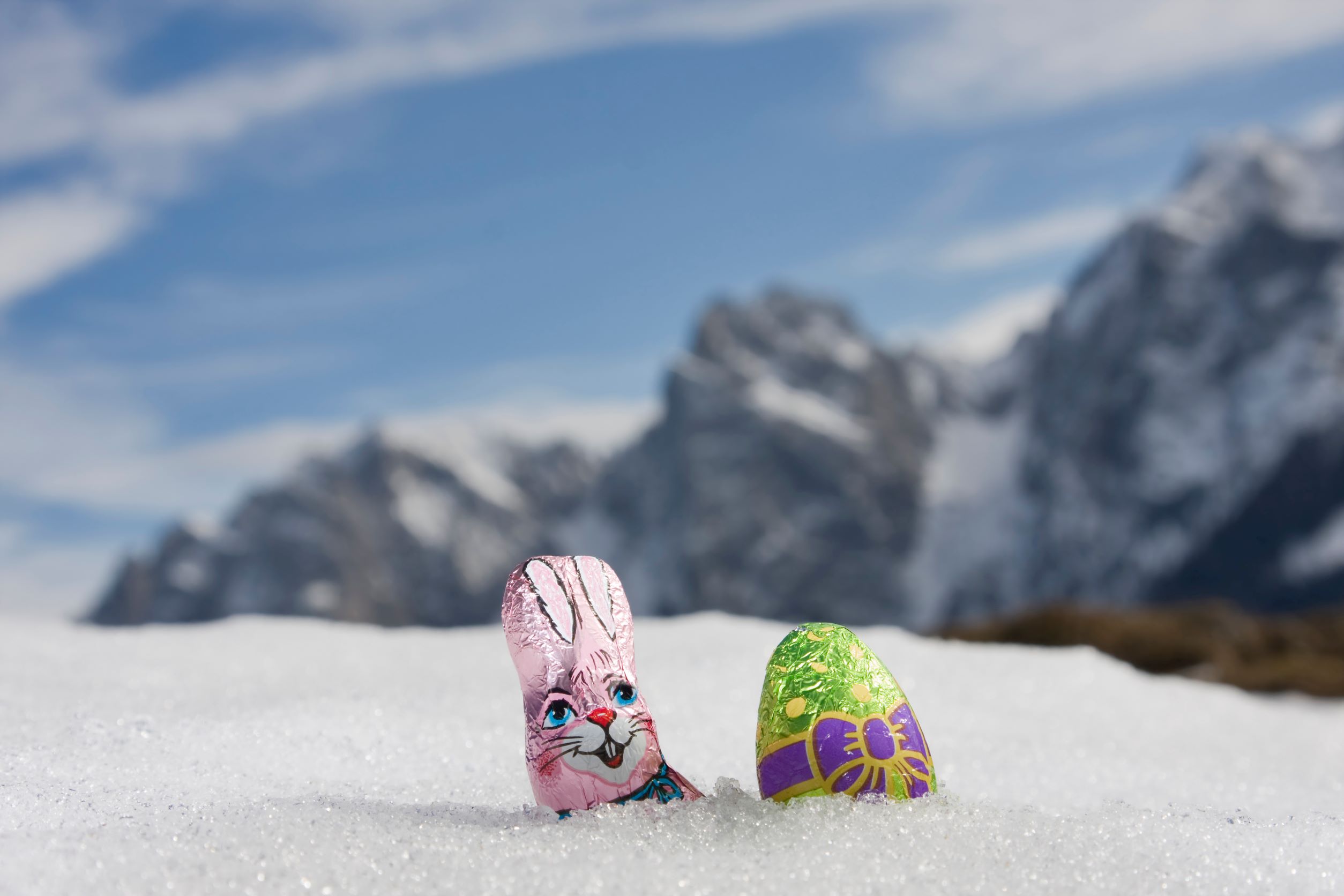 Urlaub-mit-Hund: nawu_apartments_Hundehotel_Osterurlaub - nawu apartments & Restaurant