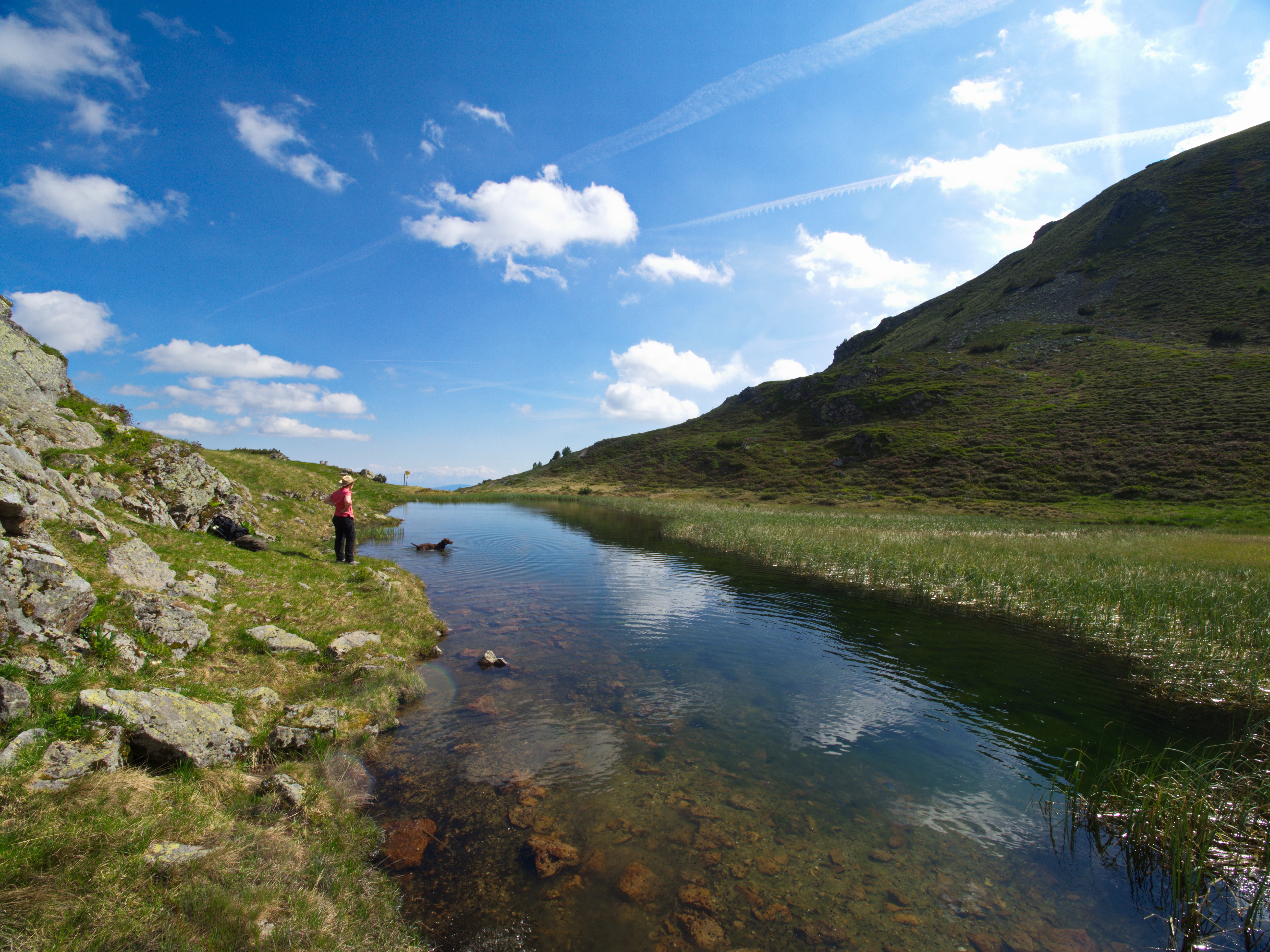 Urlaub-mit-Hund: nawu_apartments_Hundehotel_Gailtal_Presseggersee_Nassfeld - nawu apartments & Restaurant