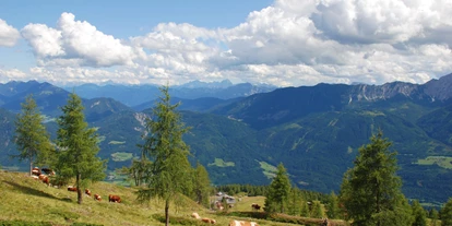 Hundehotel - Doggies: 3 Doggies - Emberger Alm - Hotel Glocknerhof