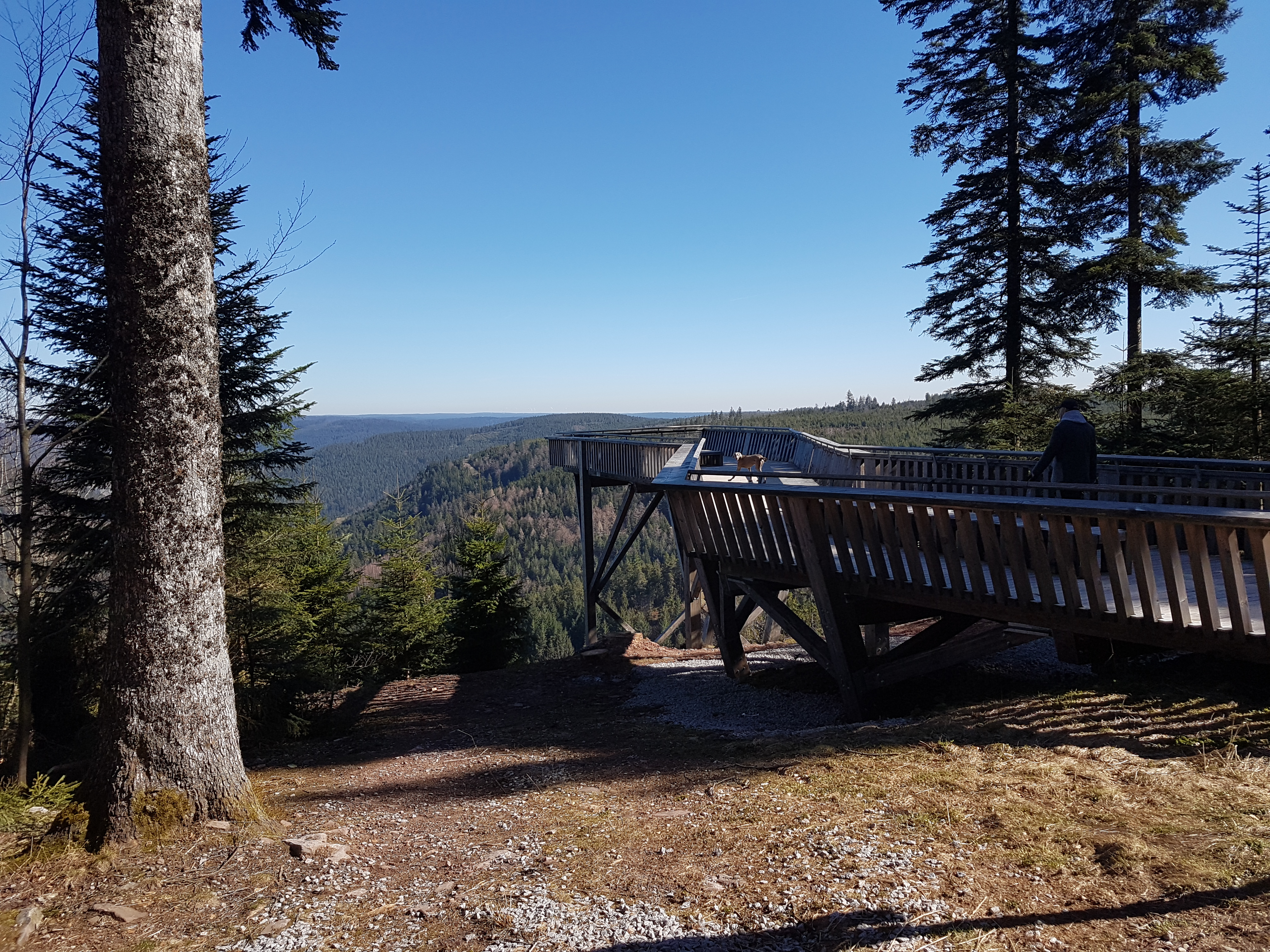 Hotel Restaurant Kniebishöhe Ausflüge mit Hund Ellbachseeplattform