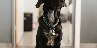 Hundehotel - PLZ 8514 (Schweiz) - Caily - Boutique Hotel Thessoni classic