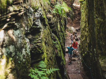Der Gollinger Ausflüge mit Hund Berg Kodok