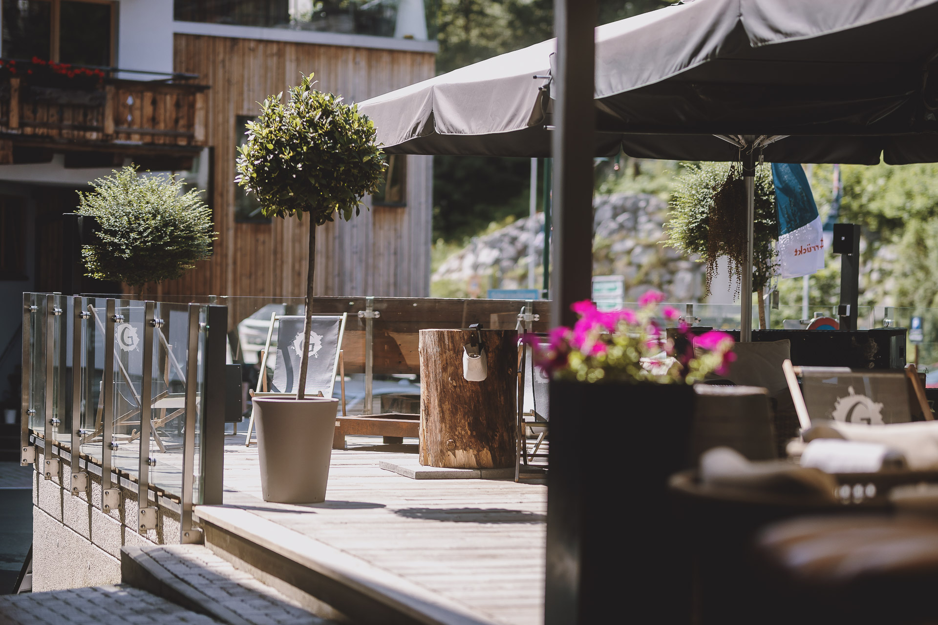 Urlaub-mit-Hund: Der Gollinger - Essen | Trinken